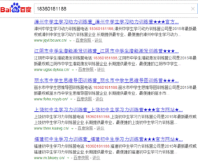 构建数字化时代的企业品牌护城河 从网络营销到品牌策划的整合推广方案